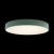 Потолочный детский светильник LOFT IT 10002/24 Green