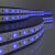 Лента Elektrostandard 5050 24V 60Led 14,4W IP20 / синий