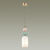 Подвесной светильник Odeon Light 4861/1B