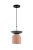 Подвесной светильник Moderli V10441-1P